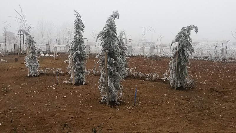 Anatoliagarden Gölbaşı Sosyal Tesisleri